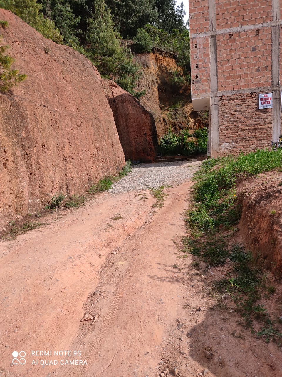 LOTE